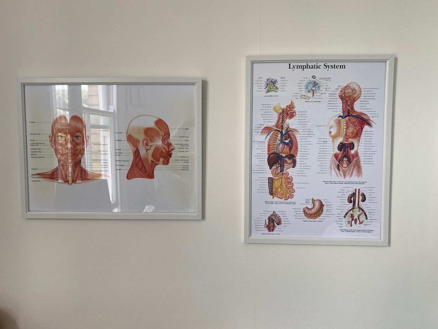 Sports Massage Llandudno · Photos 2