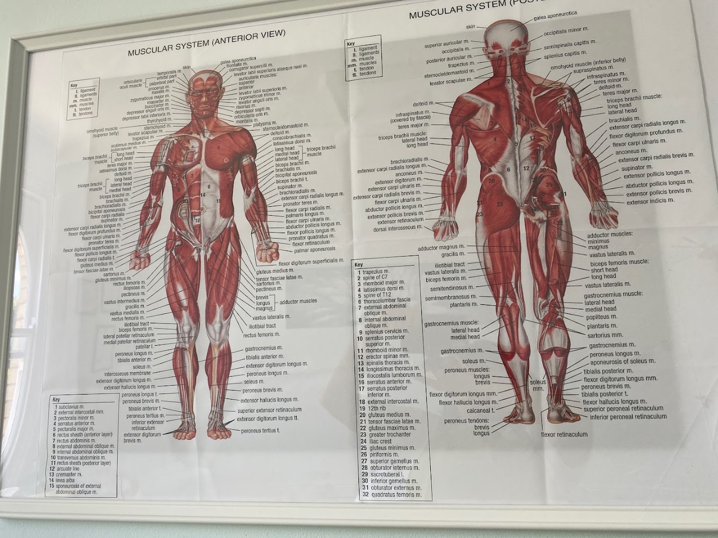 Sports Massage Llandudno · Photos 1